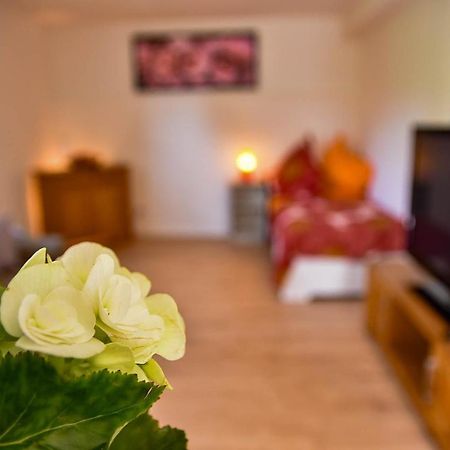 Wohnung Mit Wohlfuehlcharakter イーダル・オーバーシュタイン エクステリア 写真