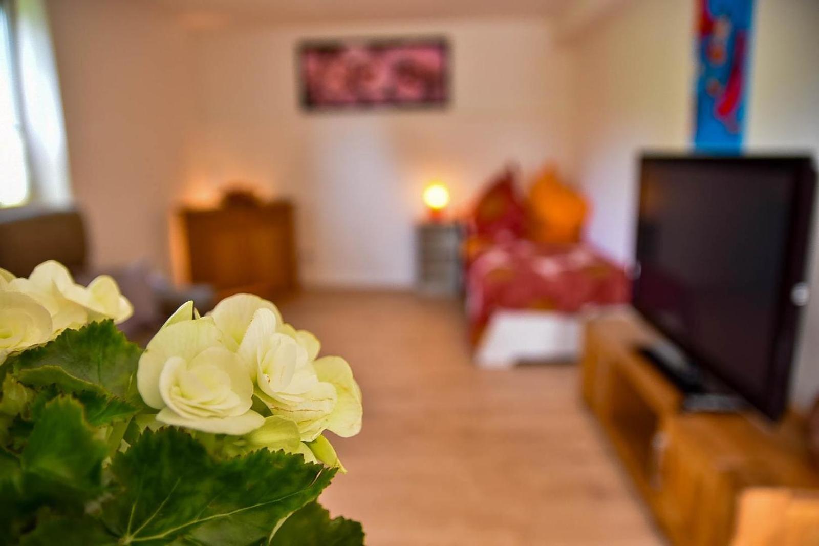 Wohnung Mit Wohlfuehlcharakter イーダル・オーバーシュタイン エクステリア 写真